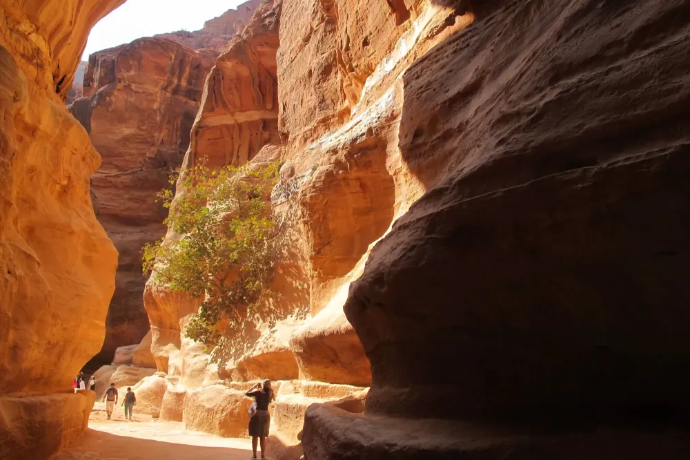 canyon